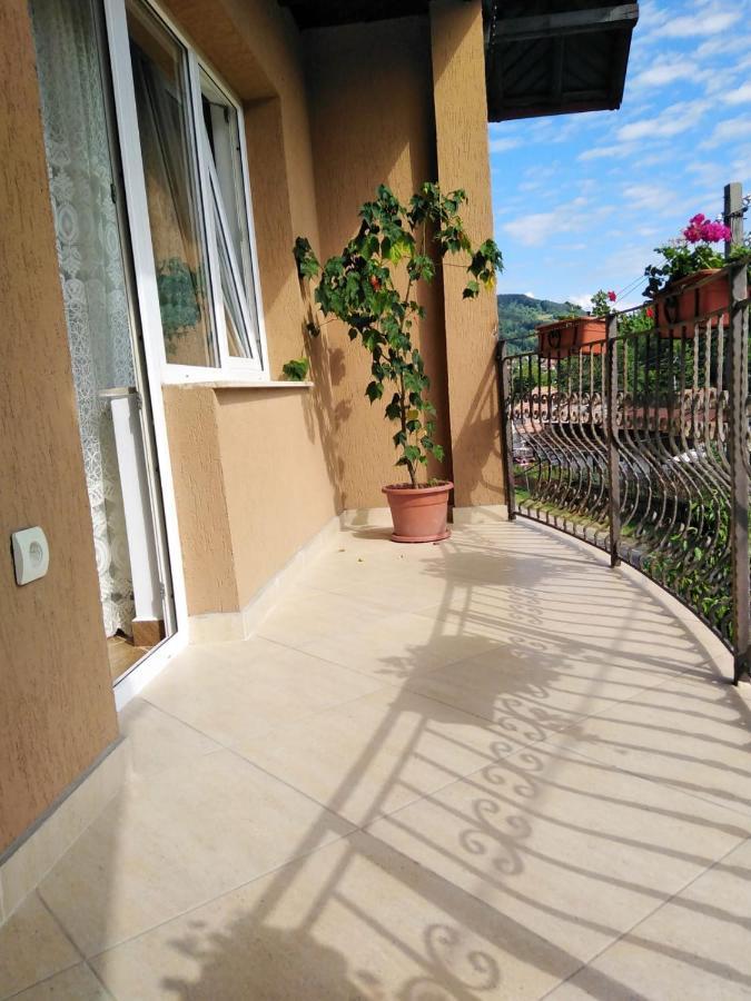 Ferienwohnung Casa Diana-Maria Curtea de Argeş Exterior foto