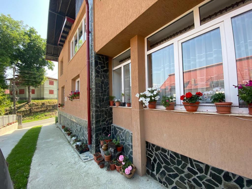 Ferienwohnung Casa Diana-Maria Curtea de Argeş Exterior foto