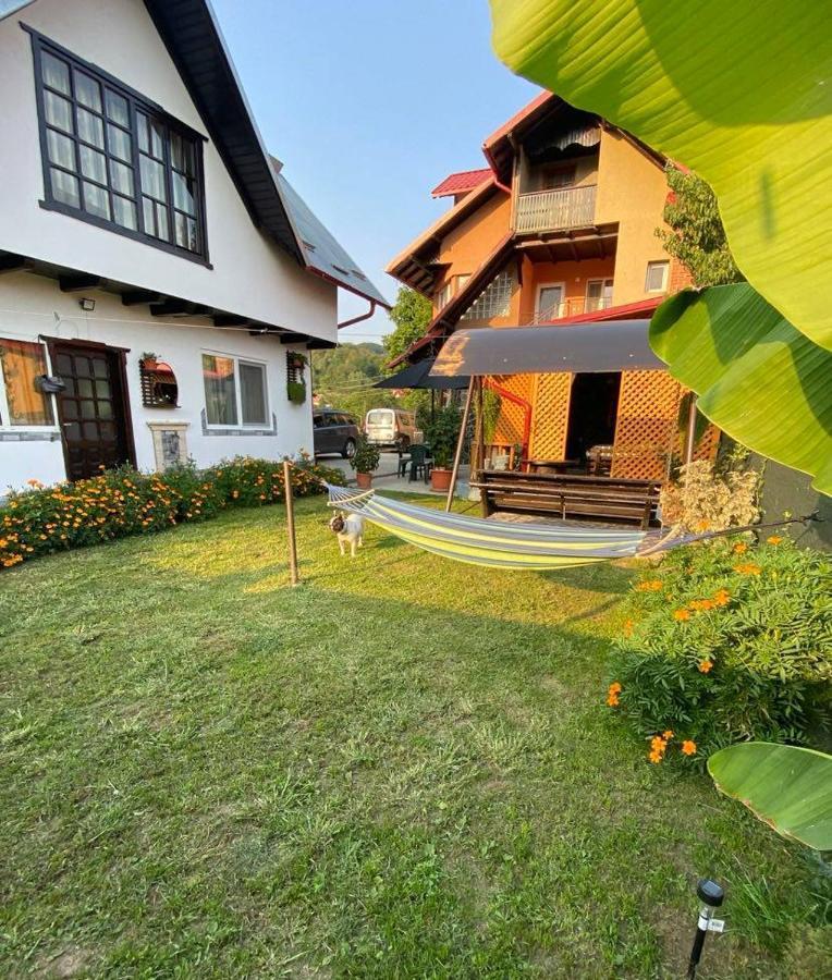 Ferienwohnung Casa Diana-Maria Curtea de Argeş Exterior foto