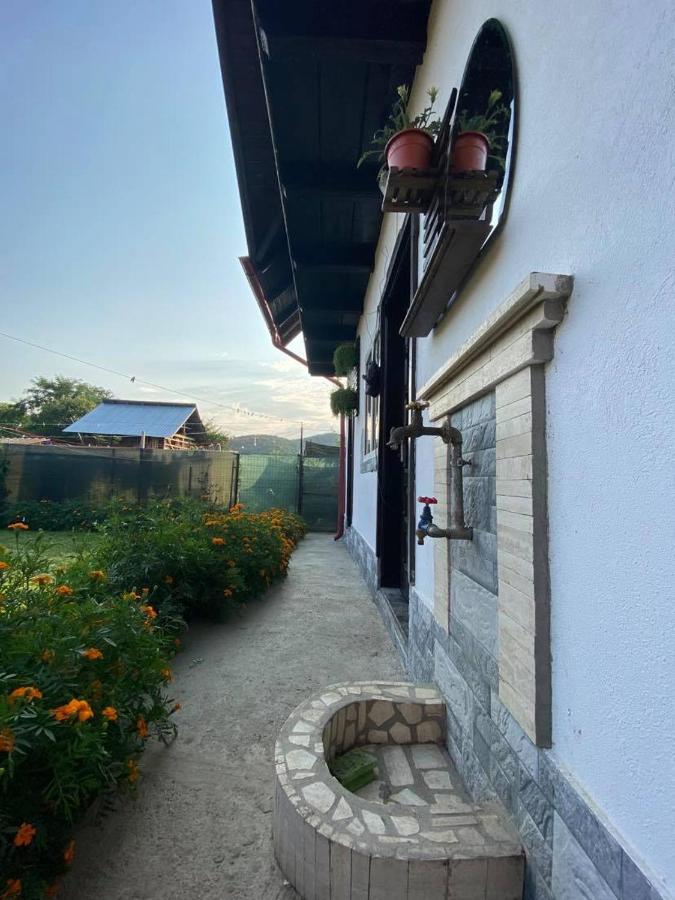 Ferienwohnung Casa Diana-Maria Curtea de Argeş Exterior foto