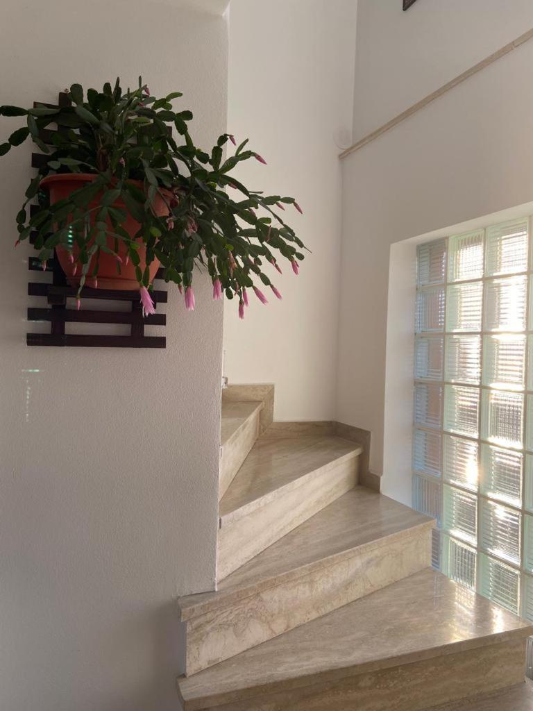 Ferienwohnung Casa Diana-Maria Curtea de Argeş Exterior foto