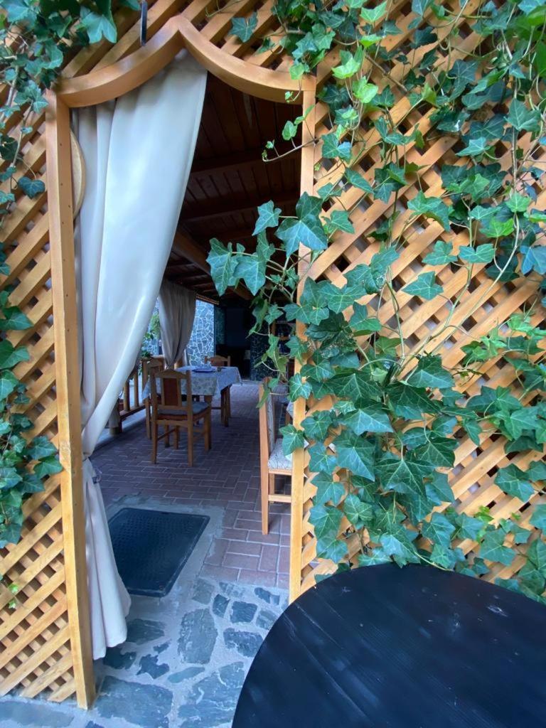 Ferienwohnung Casa Diana-Maria Curtea de Argeş Exterior foto