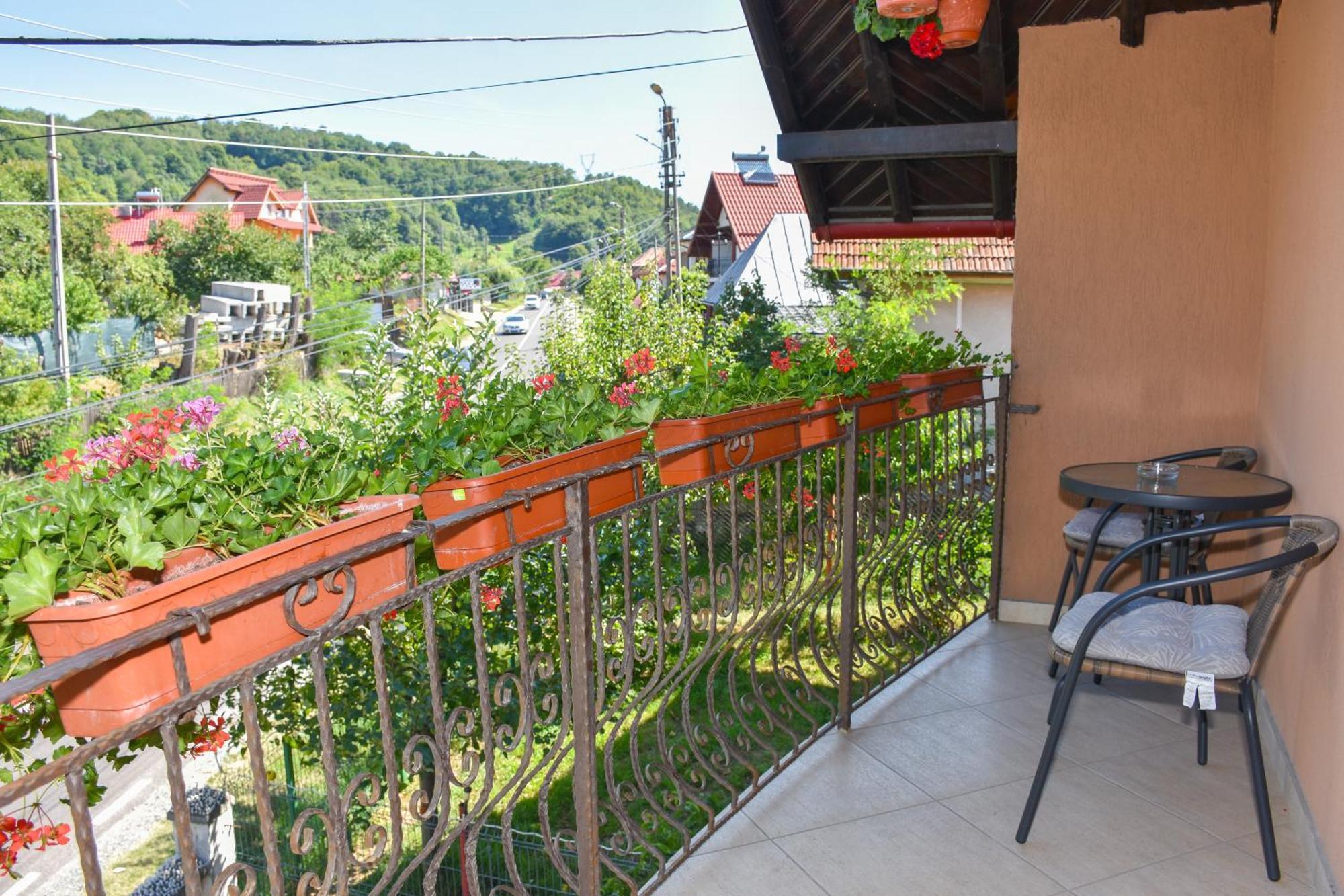 Ferienwohnung Casa Diana-Maria Curtea de Argeş Exterior foto
