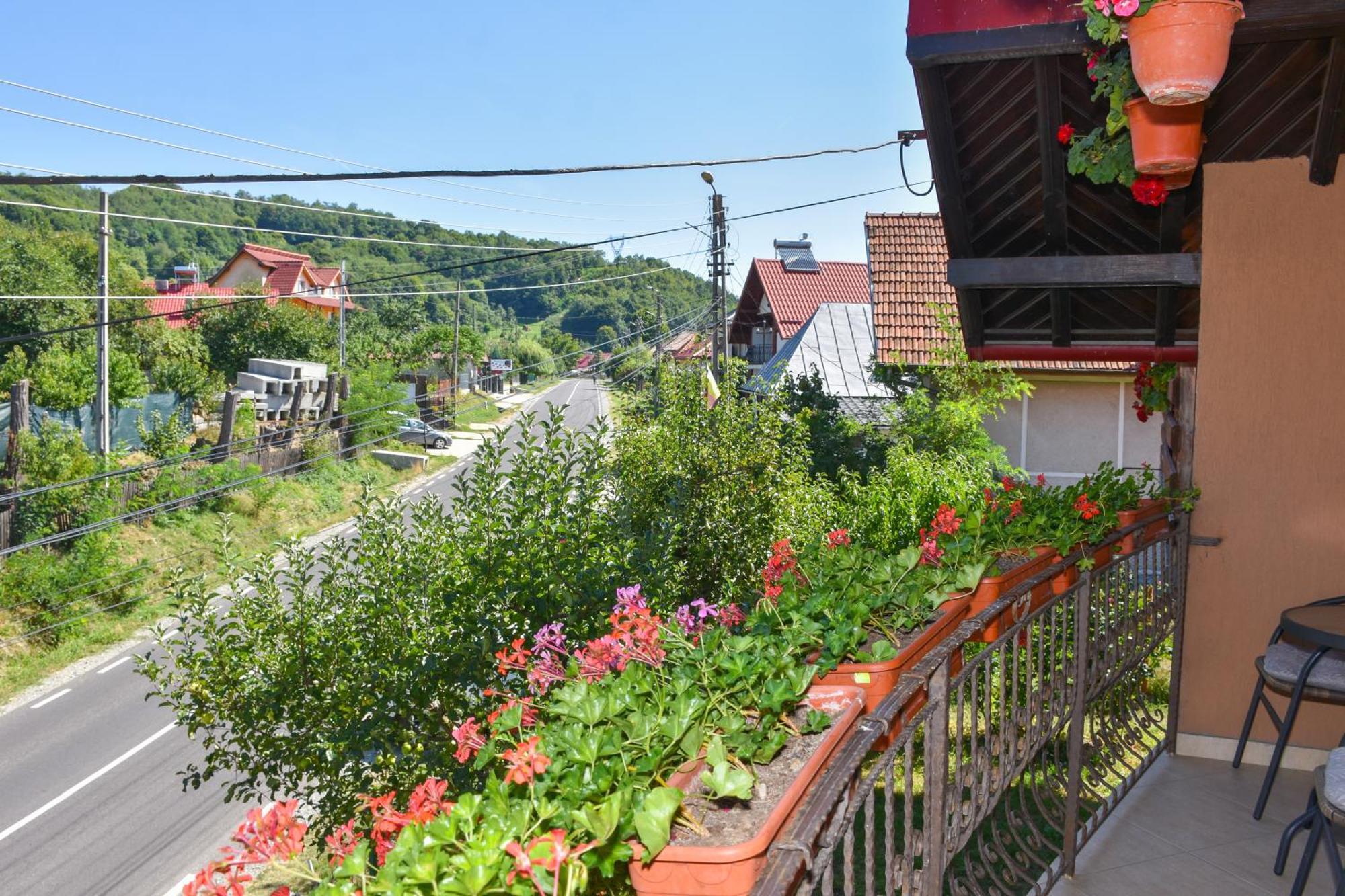 Ferienwohnung Casa Diana-Maria Curtea de Argeş Exterior foto